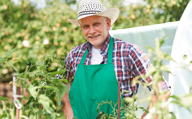 40 Farmer Jokes That Will 