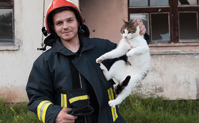 Funny Firefighter Jokes to Get Combustible Laughter