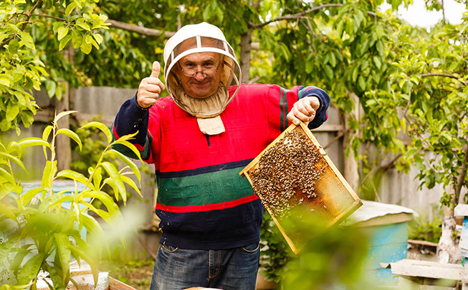 Best Beekeeper Jokes for a Buzzing Good Time