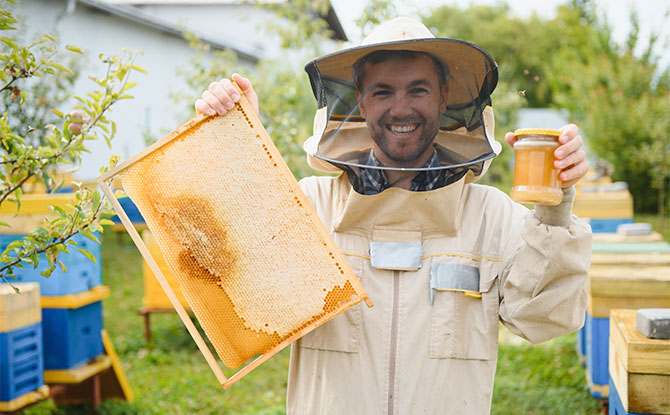 37 Beekeeper Jokes That Have You Buzzing With Laughter