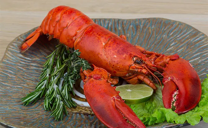 52 Lobster Jokes That Will Turn You Red With Laughter