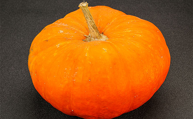 Funny Pumpkin Jokes That You Can Laugh At