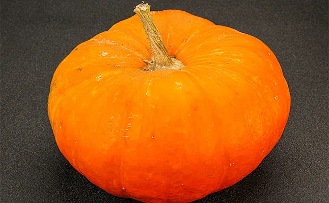 Funny Pumpkin Jokes That You Can Laugh At