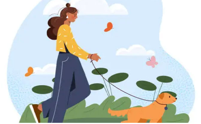 10+ Dog Walker Jokes That Will Have You Howling