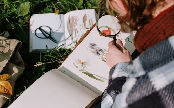 Photosynthesis and Punchlines: Jokes for Every Plant Nerd