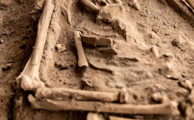 Dig Into Laughter with These 20 Archaeologist Jokes
