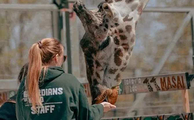 It&rsquo;s a Jungle Out There&mdash;So Laugh a Little