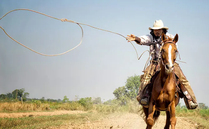 Even More of the Best Cowboy Jokes