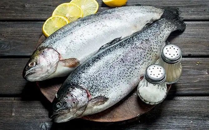 More Hilarious Salmon Jokes