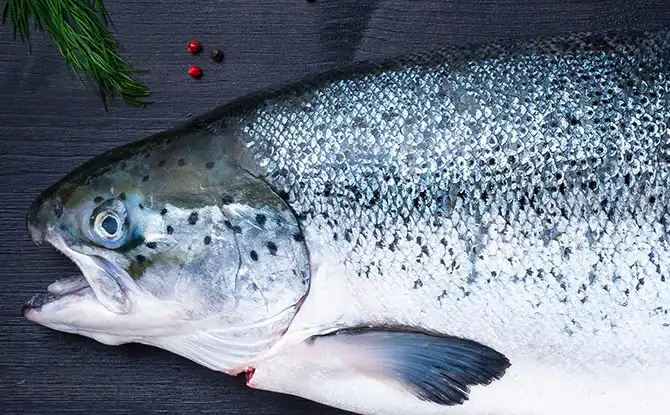 43 Salmon Jokes That Will Leave You Pink With Laughter