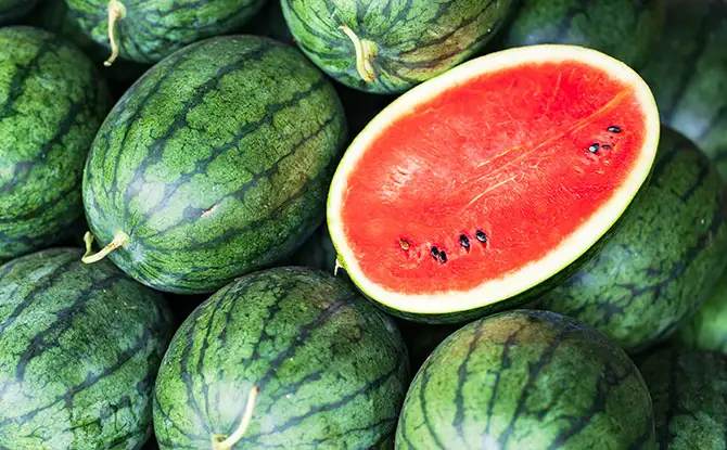 Even More Watermelon Jokes